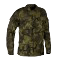 Městská policie