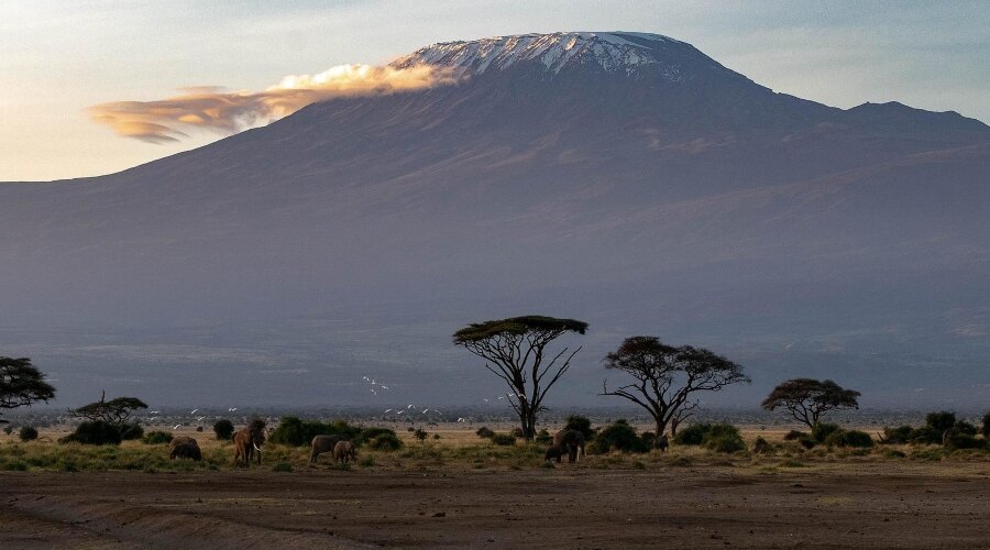 Afrika