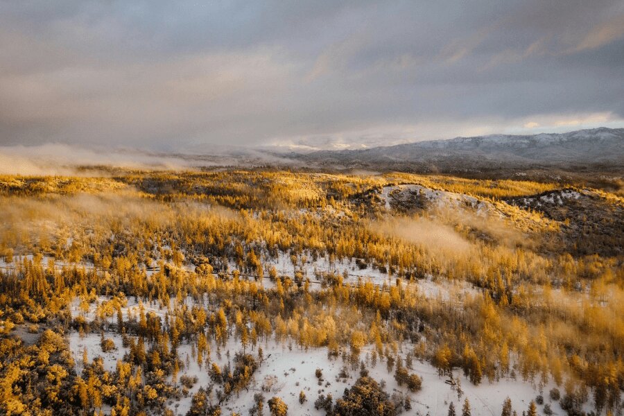 Podzimní Laponsko. Zdroj: https://www.pexels.com/cs-cz/foto/snih-krajina-pole-hriste-10661519/