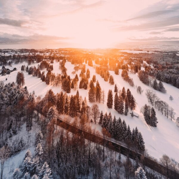 Východ slunce a probouzející se krajina. Zdroj: https://www.pexels.com/cs-cz/foto/1643773/