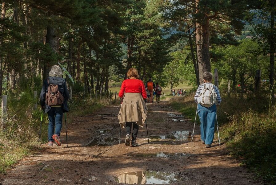 Turistika krásným uklidňujícím lesem