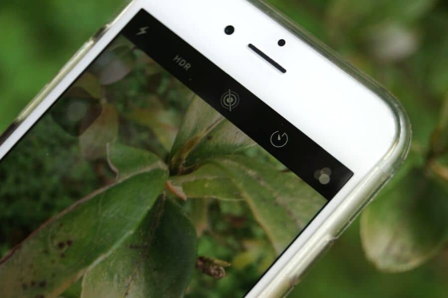Krásně přiblížená fotka mobilním telefonem