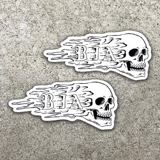 Samolepka Skull Brothers In Arms®